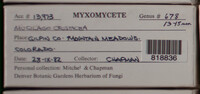 Image Associated With the Occurence